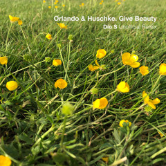 FREE DOWNLOAD: Orlando & Huschke - Give Beauty {Dio S Unofficial Remix}