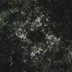 Secretive Toxin /clip