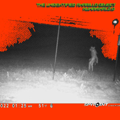 the unidentified amarillo object