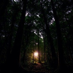 Gaia Soul - Trance Mix