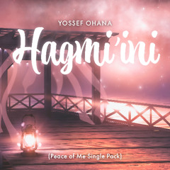 Hagmi'ini - Happy Remix