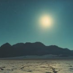 Coyote Moonlight Echoes