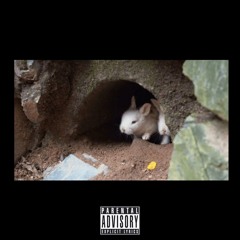 Rabbits