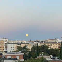 Yopo Club Birthday: HB1! By "The Mollejas" . 2025