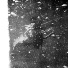 Dumka Algoritmo - Leave The seeker Alone