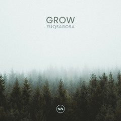 FLOW164: Euqsarosa - Grow