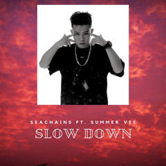 Slow Down (feat. Summer Vee)