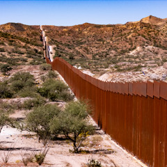 The Wall of Shame  /// Ambiante /// MP3