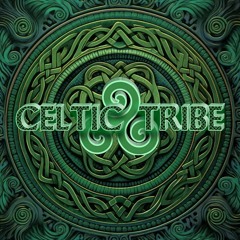 Live @Celtic Tribe 2nd Gathering On 12.08.23 @The Hippo Club, Swansea, SA1 1PE