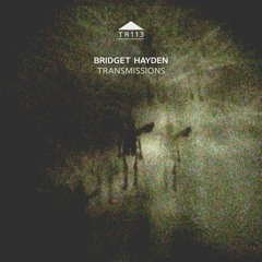 TR113 - Bridget Hayden - 'The Etheric Well'