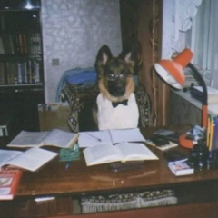 охранник района (demo)