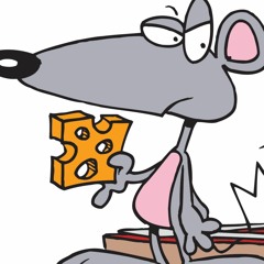 TRVPITOUT 🧀🐁