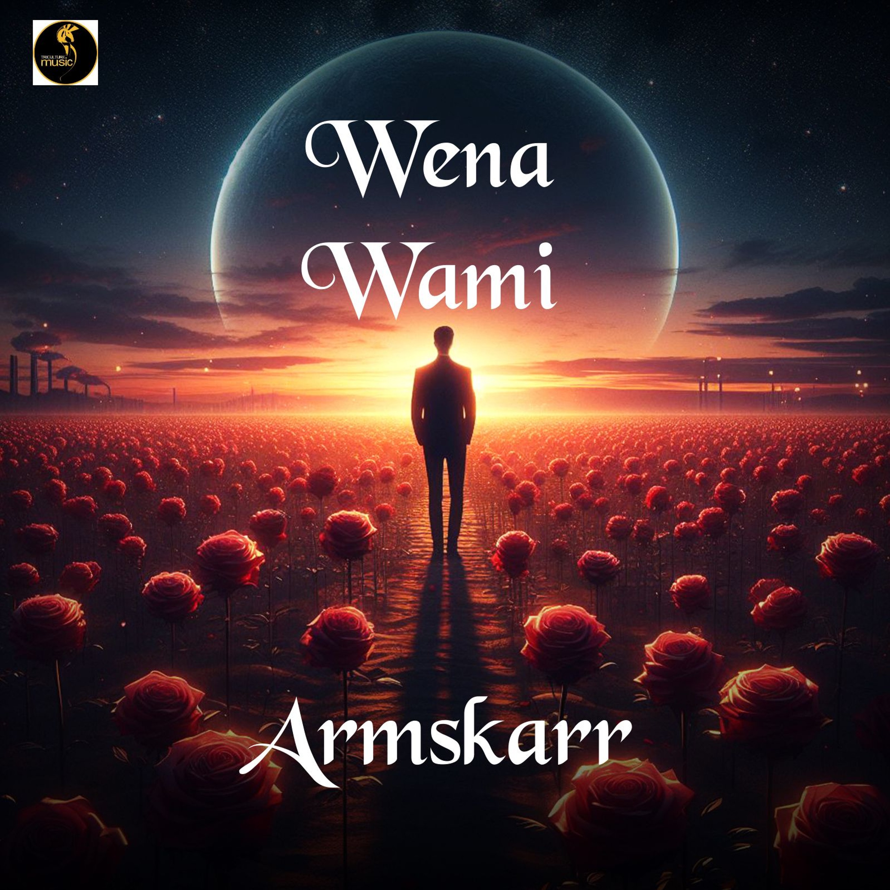 Armskarr