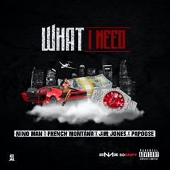 What I Need (Remix) [feat. Papoose, Jim Jones & French Montana]