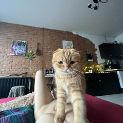 девчонок обижать нельзя