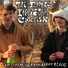 (I went down to) Strawberry Fields - The Family Industrial Complex