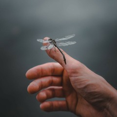 Lia Ti