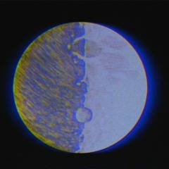 Moonlight Conscience