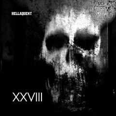 XXVIII