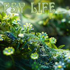 PSY LIFE 41