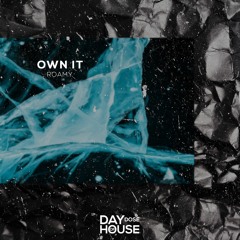 Roamy - Own It