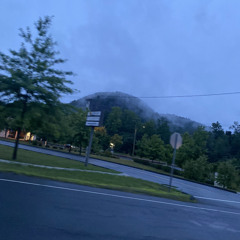 Pasto Flocco - Salsa