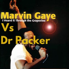 Marvin Gaye Vs Dr Packer - Heard It Through The Grapevine (Trokey Mashup)