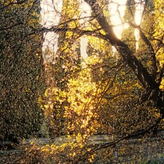 An Autumn Story