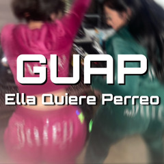 Ella Quiere Perreo
