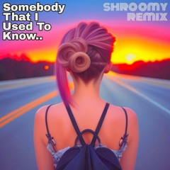Somebody That I Used To Know (shroomy Remix)