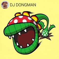 Petey Piranha (Mario Pinball Land) by (DJ Dongman)