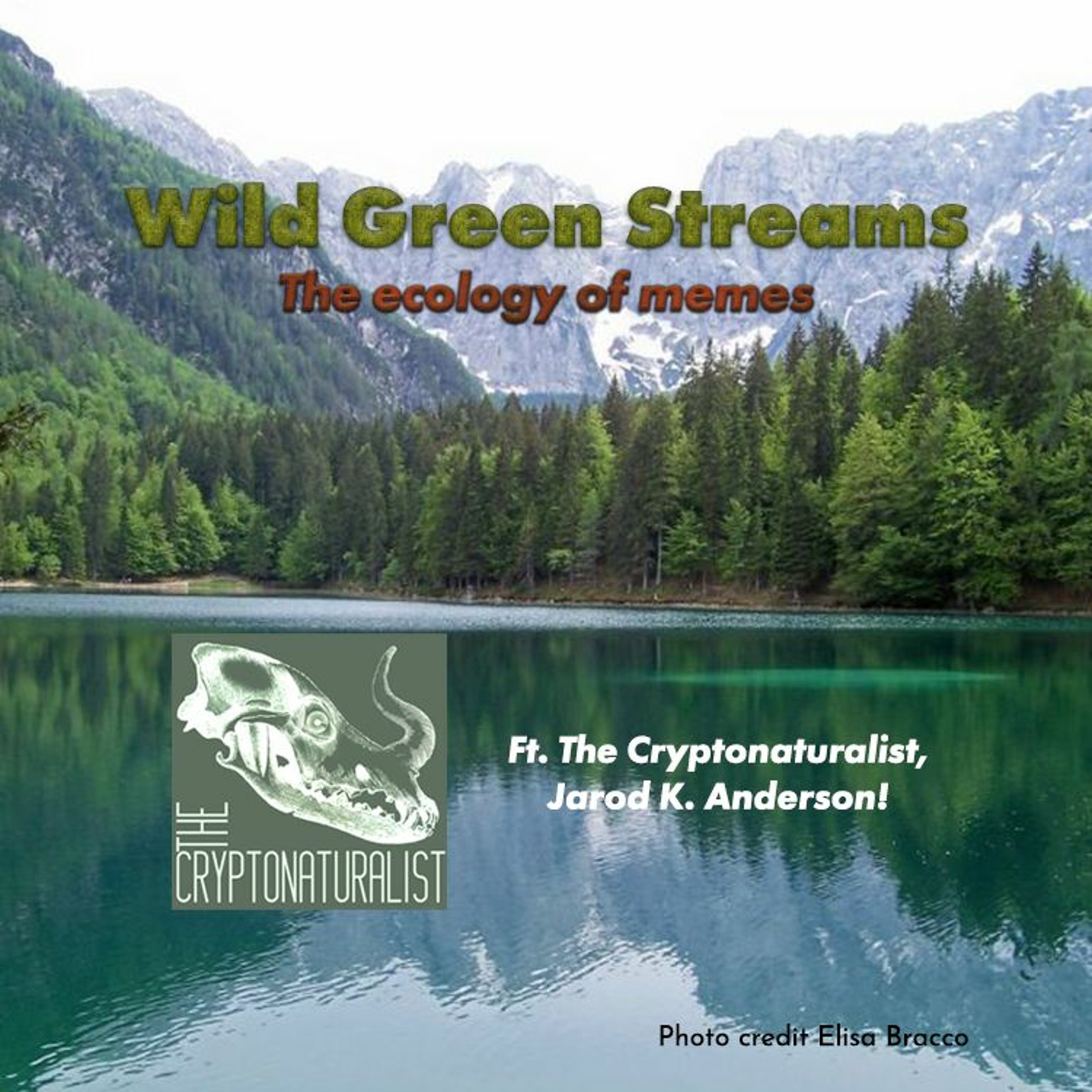 Wild Green Streams for Ecological Fiends