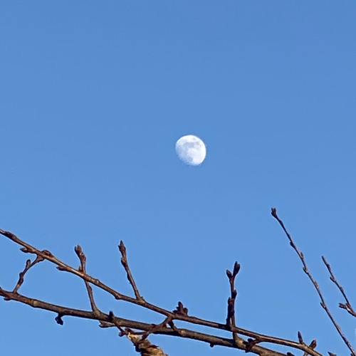 목성(cover.)