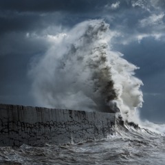 02 Making One's Mind Up - Three Red Fairies