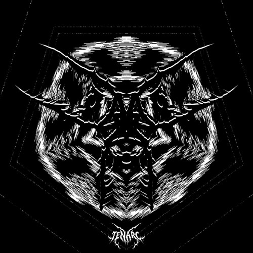 SCREAMS FROM THE VEIL - Tenarc