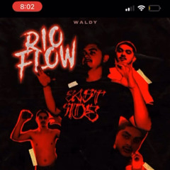 Rio Flow Waldy ™️