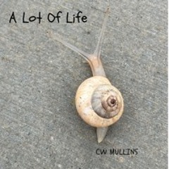 A Lot Of Life