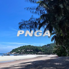 PNGA 010 w/ MiSHA
