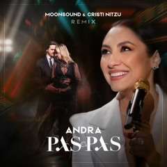 Andra - Pas cu Pas (Moonsound & Cristi Nitzu Remix)
