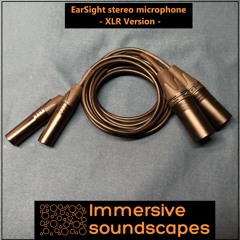 Earsight Microphone Test - Crazy Seagulls