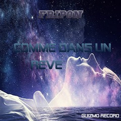 Fripon - Comme Dans Un Rêve