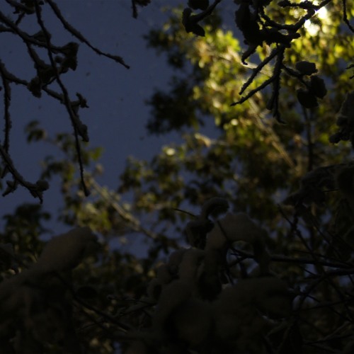 DJ UNIVXRSEL - Yuki No Hana