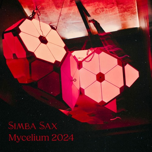 Simba Sax (Live at Mycelium 2024)