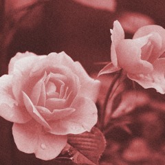 reverie