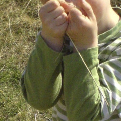 My hands are not ashtrays