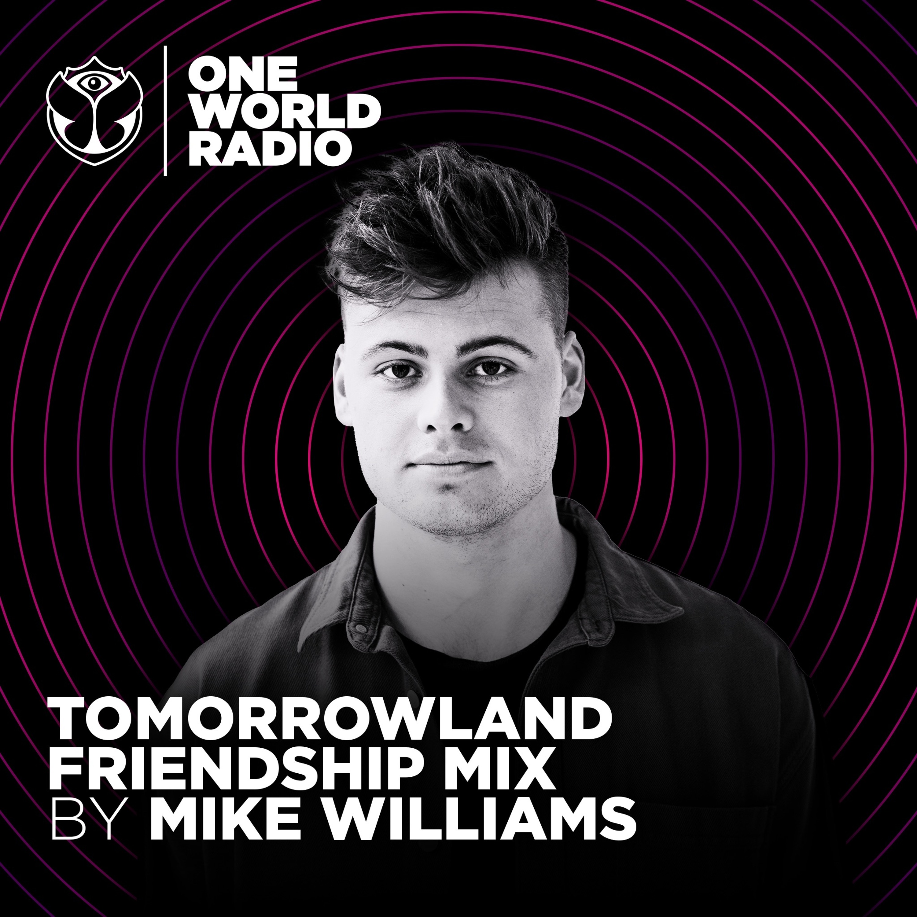 Tomorrowland Friendship Mix