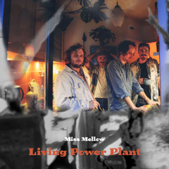 Miss Mellow - Living Power Plant