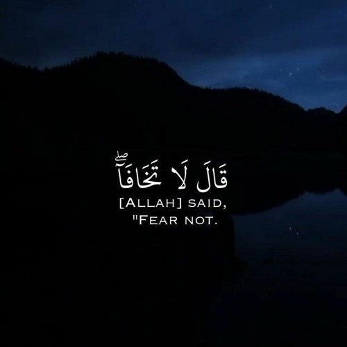 سورة طه ❤️ __ تلاوة هادئة بنبرة جميلة و خاشعة -- القارئ محمد ديبيروف _ Taha Suresi - Muhammad Dibiro