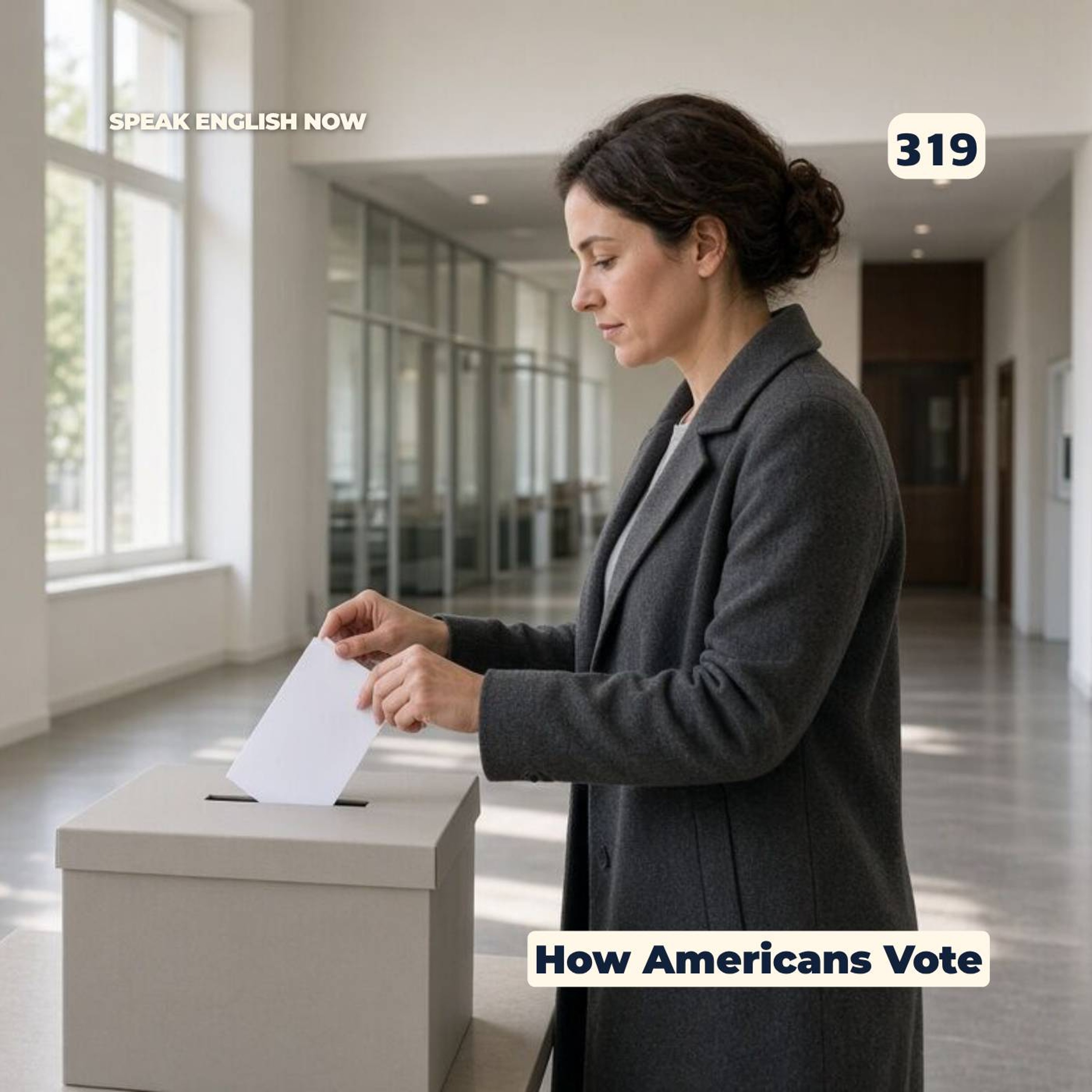 #319 How to Vote in the USA episode artwork