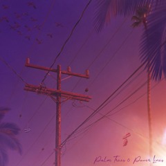 Palm Trees & Power Lines \w OXVGEN